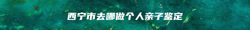 西宁市去哪做个人亲子鉴定