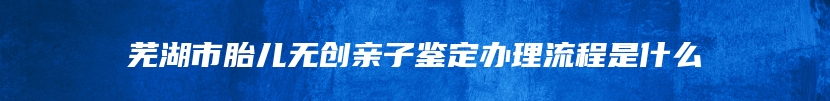 芜湖市胎儿无创亲子鉴定办理流程是什么