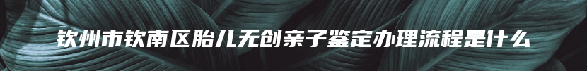 钦州市钦南区胎儿无创亲子鉴定办理流程是什么