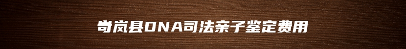岢岚县DNA司法亲子鉴定费用