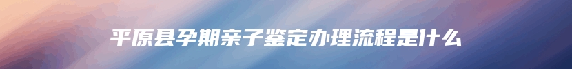 平原县孕期亲子鉴定办理流程是什么