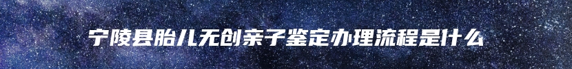 宁陵县胎儿无创亲子鉴定办理流程是什么
