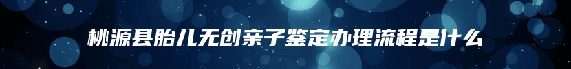 桃源县胎儿无创亲子鉴定办理流程是什么
