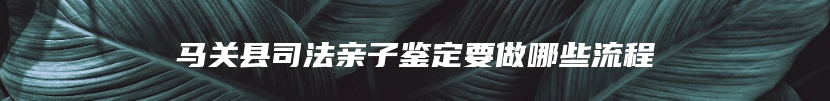 马关县司法亲子鉴定要做哪些流程