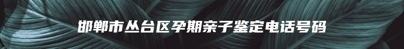 三沙市南沙区哪些机构可以做隐私亲子鉴定