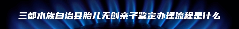 三都水族自治县胎儿无创亲子鉴定办理流程是什么