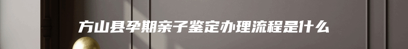 方山县孕期亲子鉴定办理流程是什么