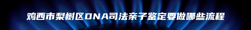 鸡西市梨树区DNA司法亲子鉴定要做哪些流程