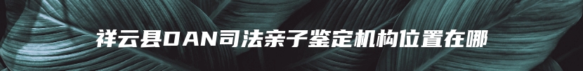 祥云县DAN司法亲子鉴定机构位置在哪