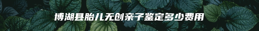 博湖县胎儿无创亲子鉴定多少费用