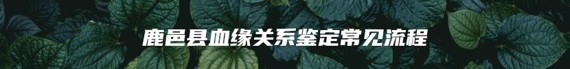鹿邑县血缘关系鉴定常见流程