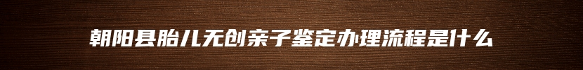 朝阳县胎儿无创亲子鉴定办理流程是什么
