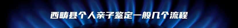 西畴县个人亲子鉴定一般几个流程