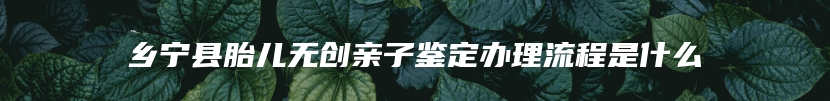 乡宁县胎儿无创亲子鉴定办理流程是什么