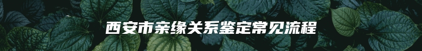 西安市亲缘关系鉴定常见流程