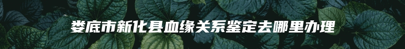 娄底市新化县血缘关系鉴定去哪里办理