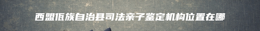 西盟佤族自治县司法亲子鉴定机构位置在哪