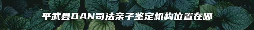平武县DAN司法亲子鉴定机构位置在哪