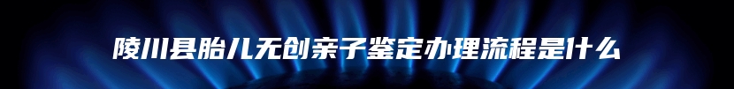 陵川县胎儿无创亲子鉴定办理流程是什么