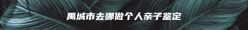 禹城市去哪做个人亲子鉴定