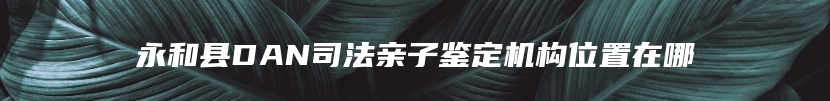 永和县DAN司法亲子鉴定机构位置在哪