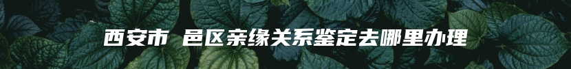 西安市鄠邑区亲缘关系鉴定去哪里办理