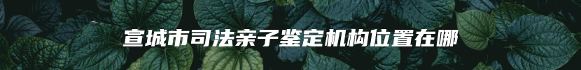 宣城市司法亲子鉴定机构位置在哪