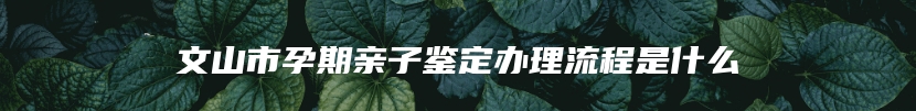 文山市孕期亲子鉴定办理流程是什么