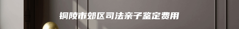 铜陵市郊区司法亲子鉴定费用