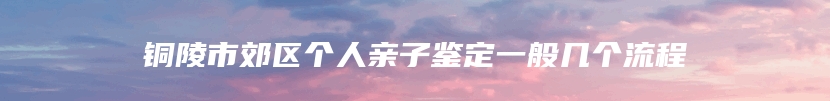 铜陵市郊区个人亲子鉴定一般几个流程