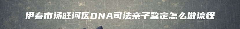 伊春市汤旺河区DNA司法亲子鉴定怎么做流程