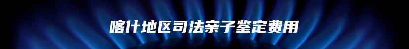 喀什地区司法亲子鉴定费用