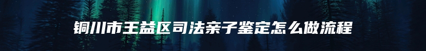 铜川市王益区司法亲子鉴定怎么做流程