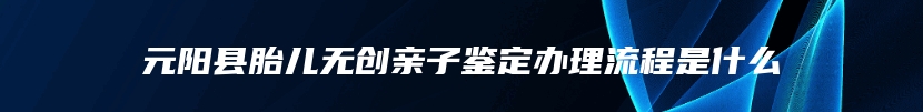 元阳县胎儿无创亲子鉴定办理流程是什么