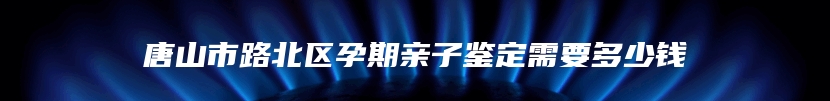 唐山市路北区孕期亲子鉴定需要多少钱