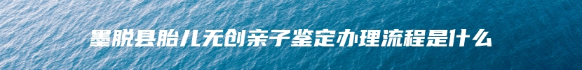 墨脱县胎儿无创亲子鉴定办理流程是什么