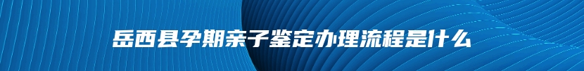 岳西县孕期亲子鉴定办理流程是什么