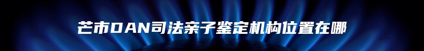 芒市DAN司法亲子鉴定机构位置在哪