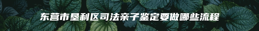 东营市垦利区司法亲子鉴定要做哪些流程