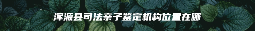 浑源县司法亲子鉴定机构位置在哪