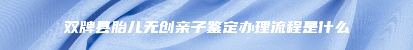 双牌县胎儿无创亲子鉴定办理流程是什么