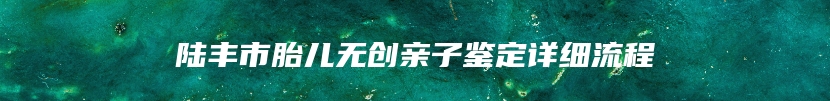 陆丰市胎儿无创亲子鉴定详细流程