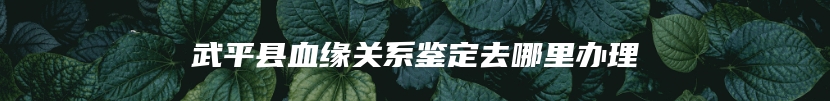 武平县血缘关系鉴定去哪里办理