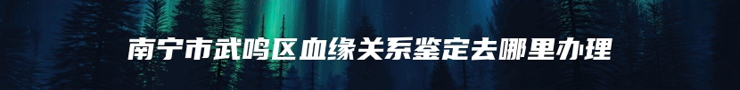 南宁市武鸣区血缘关系鉴定去哪里办理