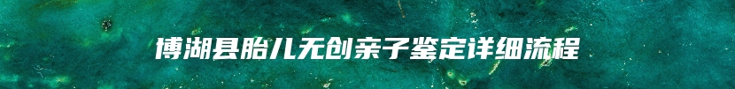 博湖县胎儿无创亲子鉴定详细流程