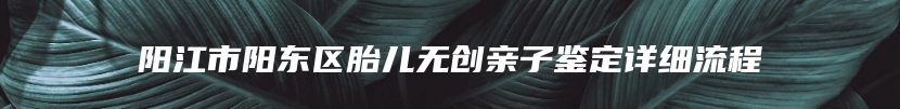 阳江市阳东区胎儿无创亲子鉴定详细流程