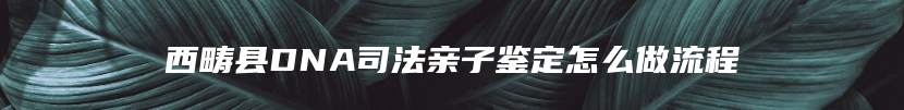 西畴县DNA司法亲子鉴定怎么做流程