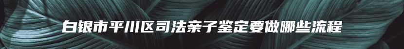 白银市平川区司法亲子鉴定要做哪些流程