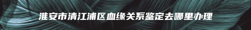 淮安市清江浦区血缘关系鉴定去哪里办理