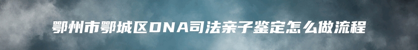 鄂州市鄂城区DNA司法亲子鉴定怎么做流程